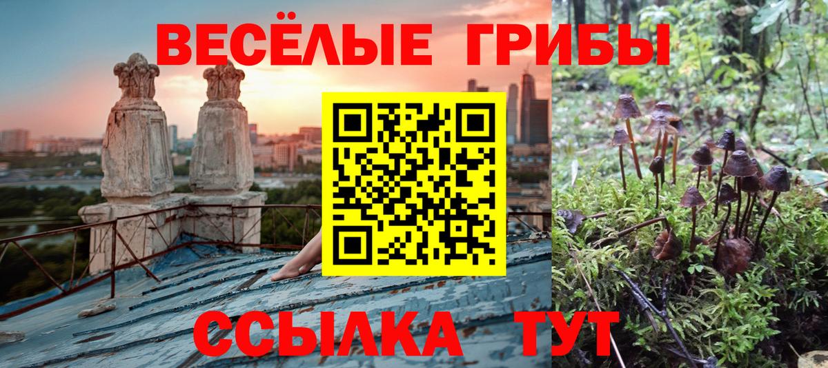 Псилоцибиновые грибы MAGIC MUSHROOMS Старая Купавна