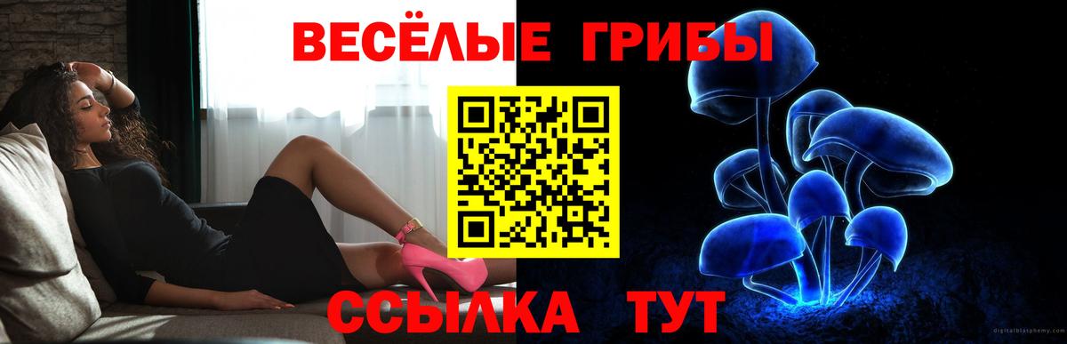 Псилоцибиновые грибы прущие грибы  Вход с VPN  Старая Купавна 